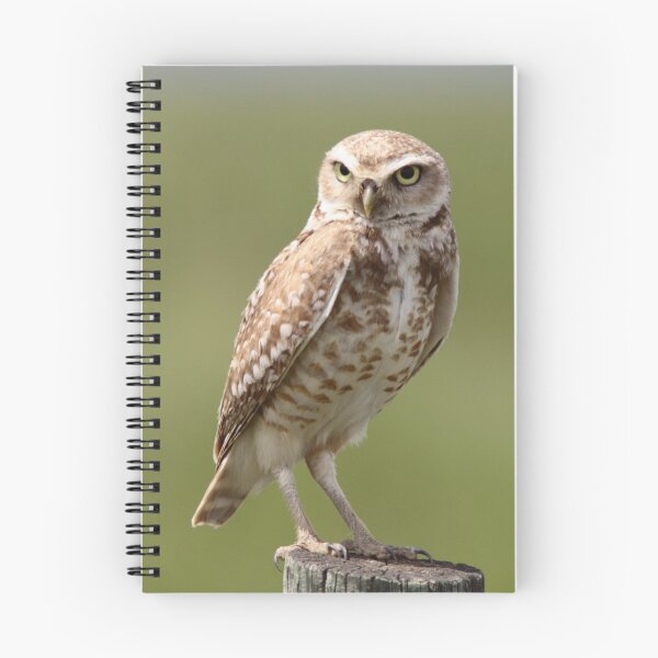 Item preview, Burrowing Owl designed and sold by SparrowImages.