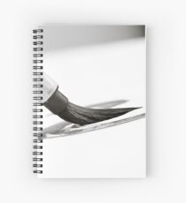 Sumi-e Brush Spiral Notebook
