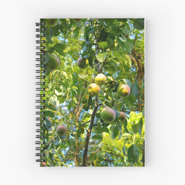Artikelvorschau, The ripening of pears on the vine entworfen und verkauft von MarianBendeth.