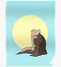 Sealion Suntan Poster