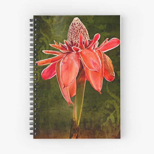 Artikelvorschau, Kym's Red Torch Ginger entworfen und verkauft von Craig Hender.
