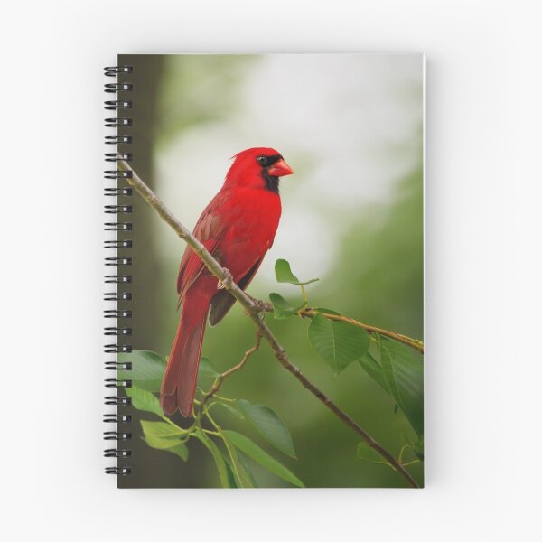 Item preview, Summer Red designed and sold by Margaret Barry.