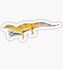 Leopard gecko Sticker