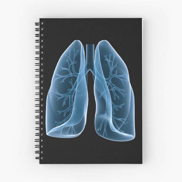 Item preview, Lungs designed and sold by Marquinho46.