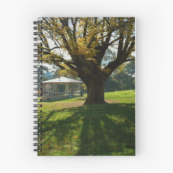 Artikelvorschau, Old Elm Tree in Berwick entworfen und verkauft von Aleksander.