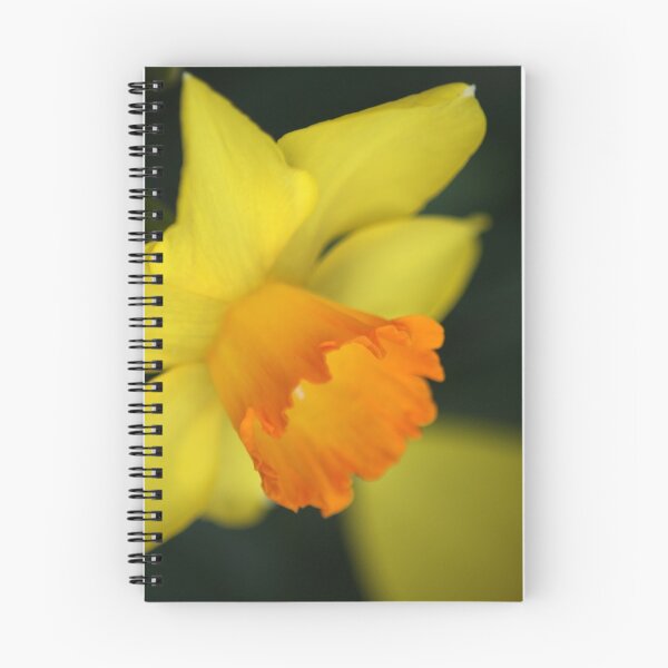 Item preview, Yellow Daffodil designed and sold by crystalventerseye.