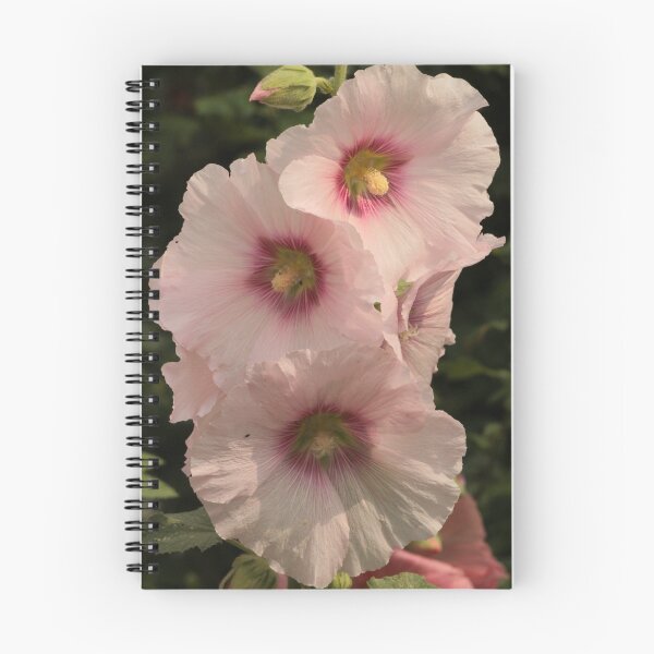 Item preview, Pink Hollyhock designed and sold by Robert Abraham.