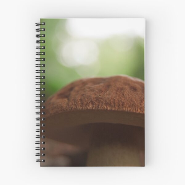 Item preview, Porcino designed and sold by Roberto Irace.