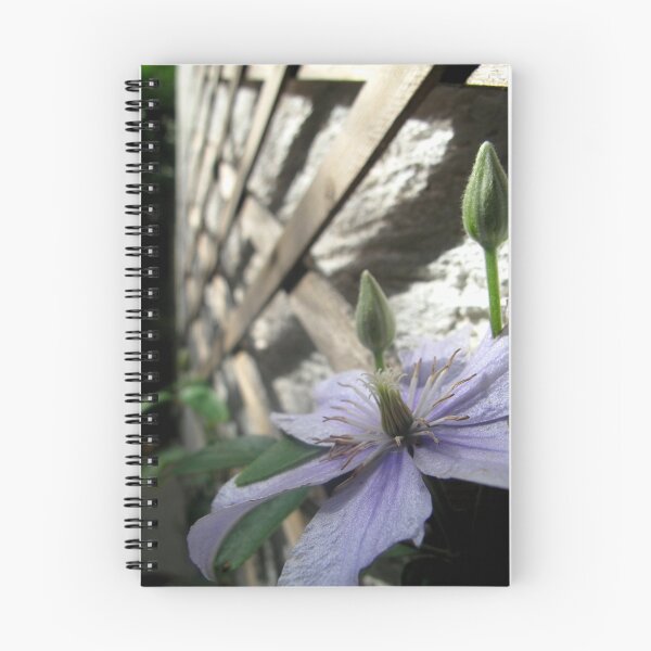 Item preview, Climbing Clematis designed and sold by Pippa Carvell.