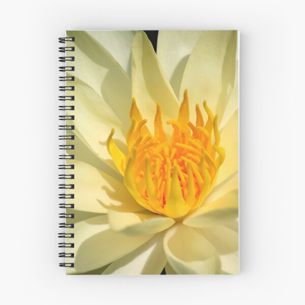 Artikelvorschau, Waterlily entworfen und verkauft von Brent McMurry.