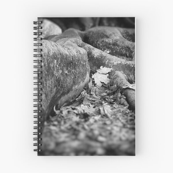 Item preview, Feuille isolée designed and sold by Peter Denniston.