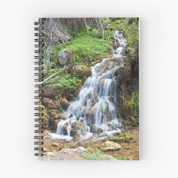 Item preview, Waterfall in Shoshone Park Idaho 1 designed and sold by Forrest  Ray.