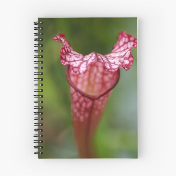 Item preview, Pitcher Plant designed and sold by crystalventerseye.