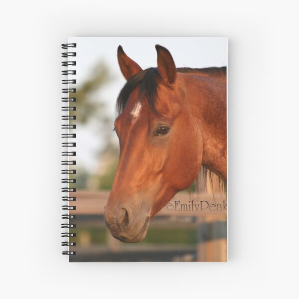 Hayden Headshot Spiral Notebook