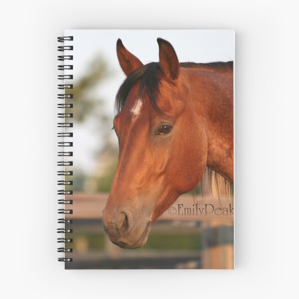 Item preview, Hayden Headshot designed and sold by Emily Peak.