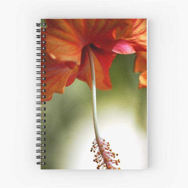 Item preview, Hanging Hibiskus designed and sold by loiteke.