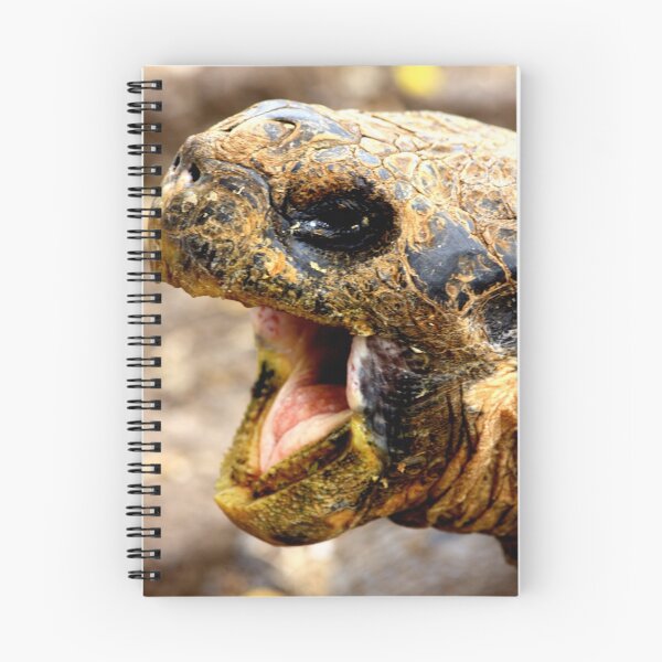 Item preview,  Islas Galápagos. designed and sold by FreshZebra.