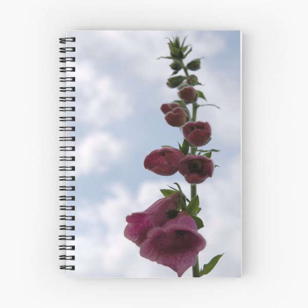 Item preview, Hollyhock  designed and sold by De Haydock.