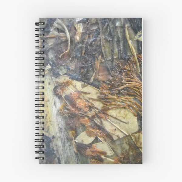 Item preview, Forest Steep Road designed and sold by BasantSoni.