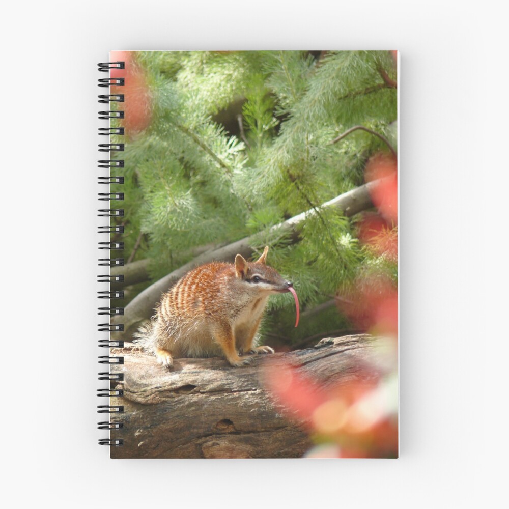 Item preview, Spiral Notebook designed and sold by Sandra.