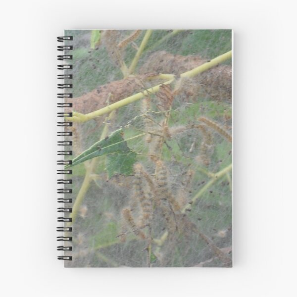 Item preview, Caterpillars in a Tree designed and sold by Navigator.