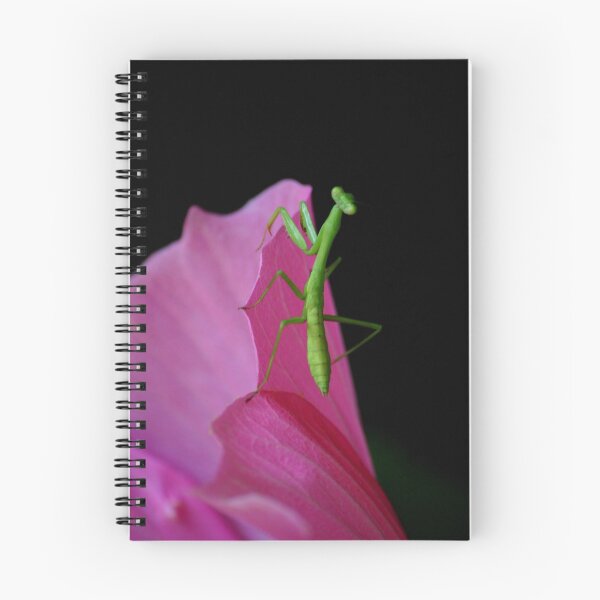 Item preview, Praying Mantis designed and sold by Brent McMurry.