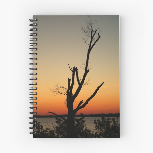 Item preview, Riverfront Park Sunset designed and sold by crystalventerseye.