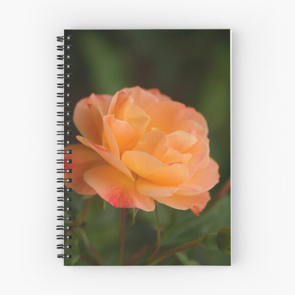 Item preview, Peach Rose designed and sold by crystalventerseye.