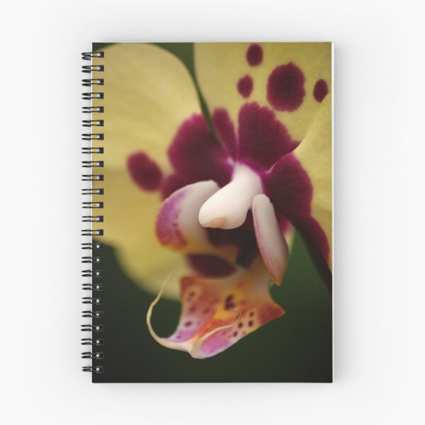 Item preview, Yellow Orchid designed and sold by crystalventerseye.
