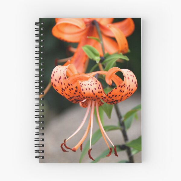 Item preview, Tiger Lily designed and sold by Natalie Ord.