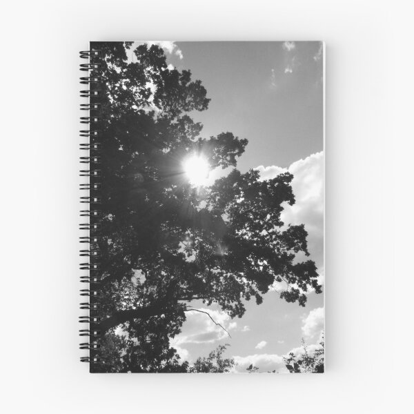 Artikelvorschau, Shine entworfen und verkauft von Ecohippy.