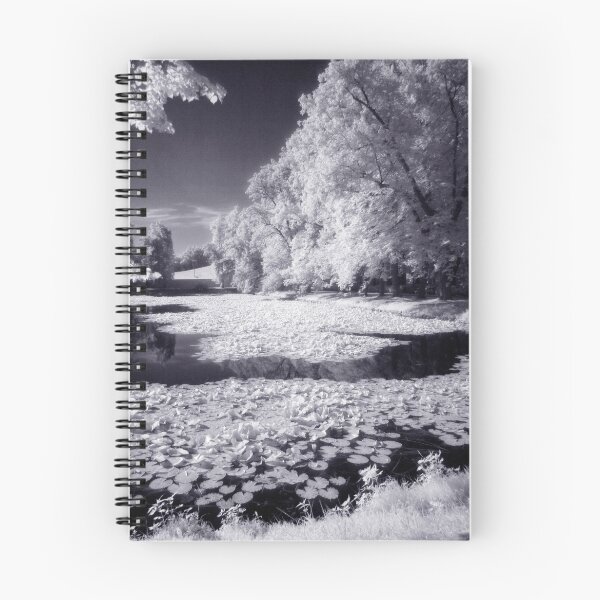 Item preview, Castle Park Pond II designed and sold by Ethem Kelleci.