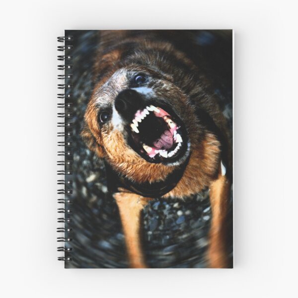 Item preview, Don't Judge a Book... designed and sold by SamTheCowdog.