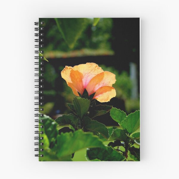 Item preview, Translucent designed and sold by Rodney Williams.