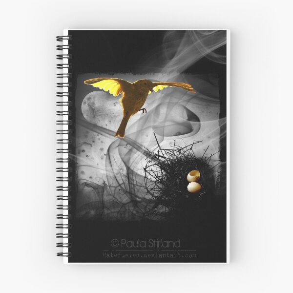 Item preview, Discovery Channel designed and sold by Paula Stirland.