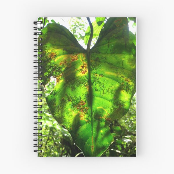 Item preview, Quietud translúcida designed and sold by Jessica  Schoepen.
