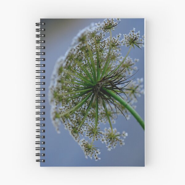 Item preview, View from below designed and sold by BarbaraAnderson.