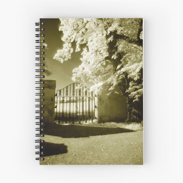 Item preview, Border Gate designed and sold by Ethem Kelleci.