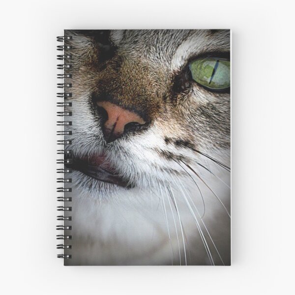 Item preview, Beautiful Green Eyed Cat designed and sold by AkaiAkuma80.