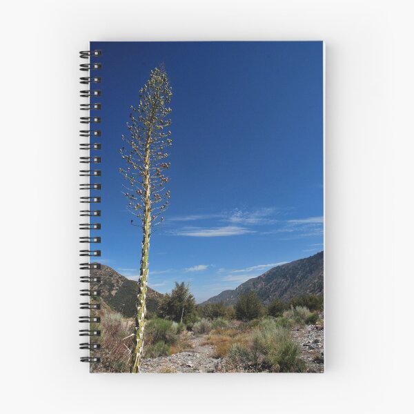 Item preview, SoCal Wasteland-Lytle Creek, Ca designed and sold by Alan Brazzel.