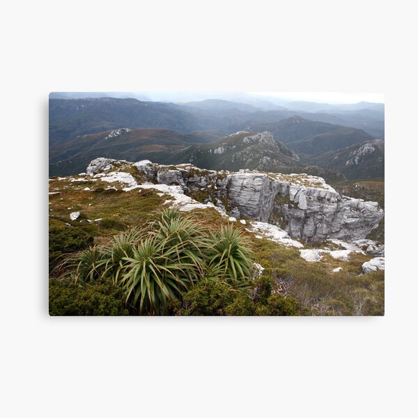 View from Frenchmans Cap, Franklin-Gordon Wild Rivers National Park, Tasmania Metal Print
