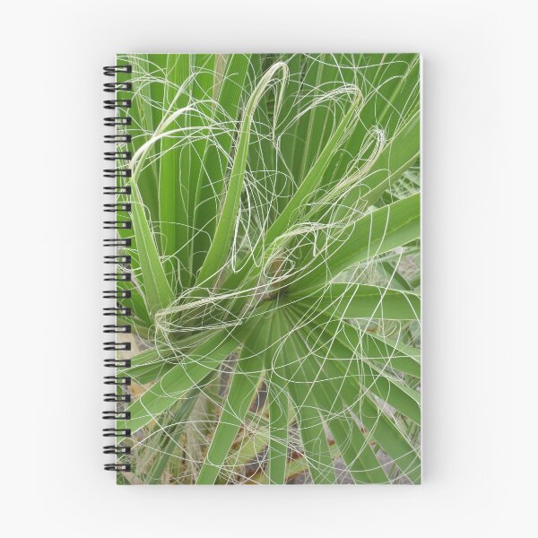 Item preview, Yucca out of Concrete designed and sold by Navigator.