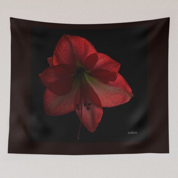 Item preview, Amaryllis designed and sold by Rosemary Sobiera.