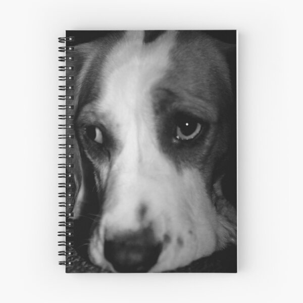 Item preview, Puppy dog eyes designed and sold by kymc.