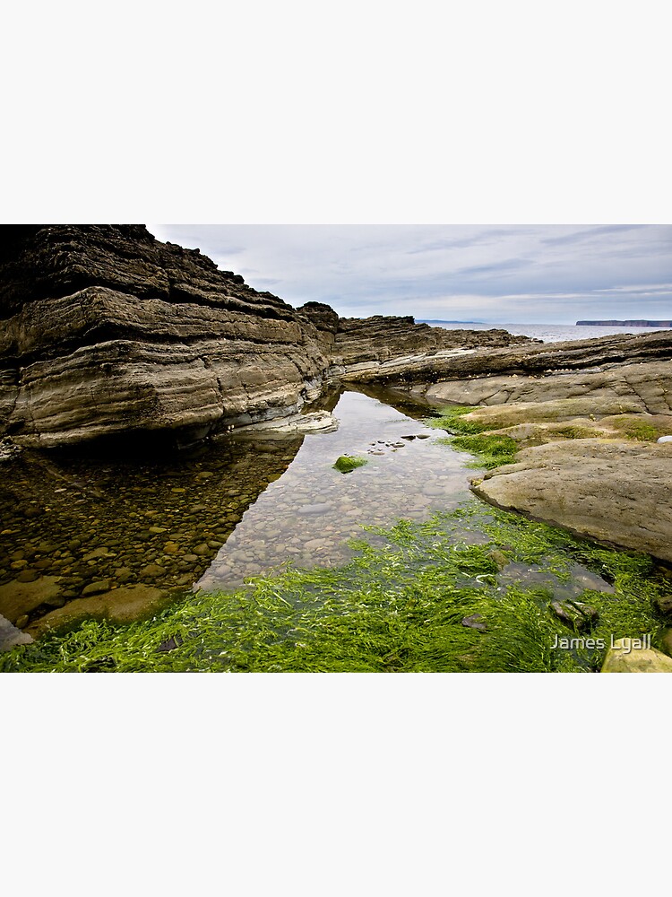 Reflecting the Tide by corwin