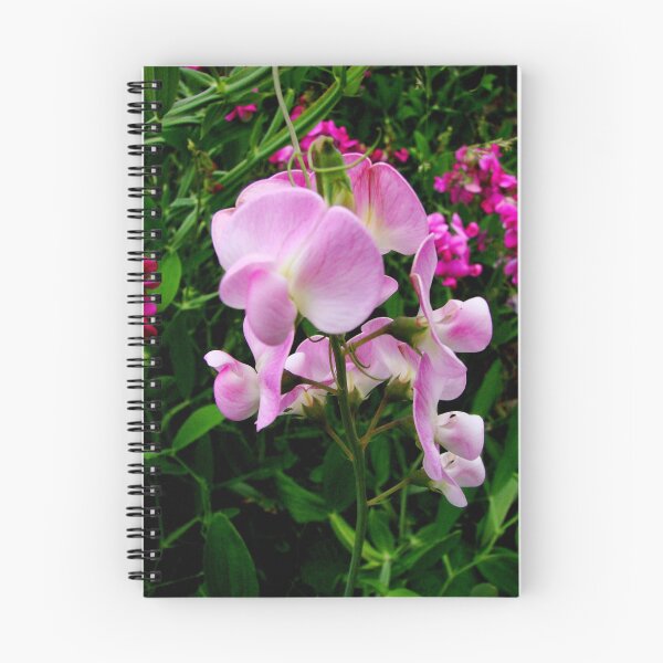 Item preview, Wild Sweet Peas II designed and sold by Tricia Stucenski.