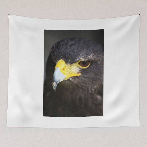 Item preview, Harris Hawk designed and sold by Alyce Taylor.
