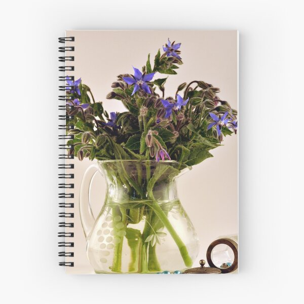 Item preview, borage in glass jug designed and sold by Georgina James.