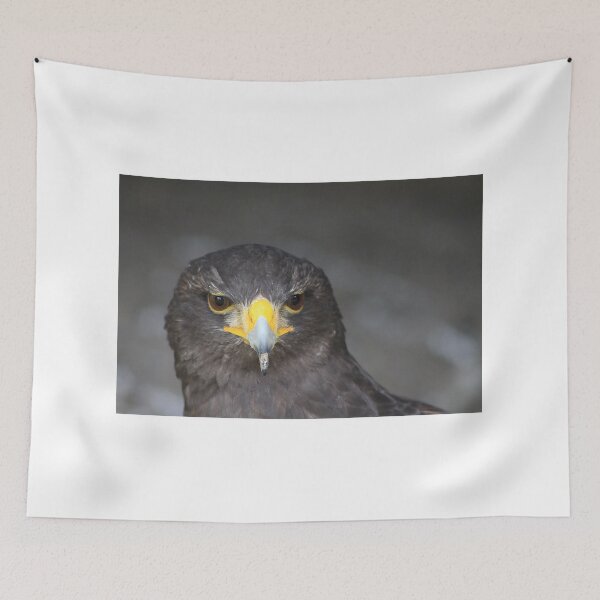 Item preview, Harris Hawk designed and sold by Alyce Taylor.
