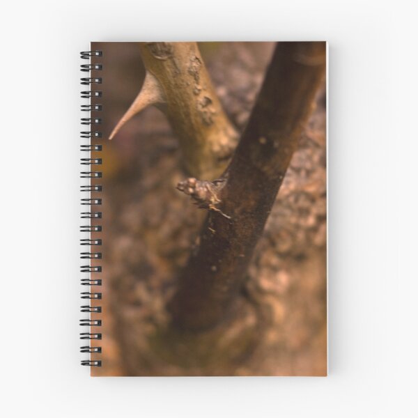 Item preview, Thorny designed and sold by Harv Churchill.